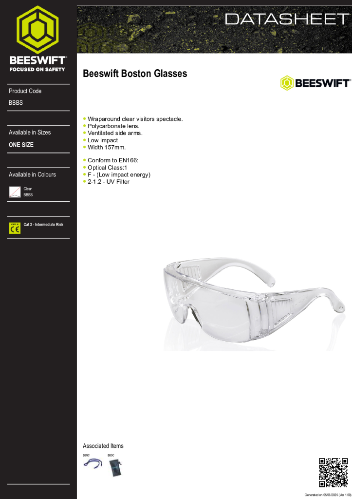 BBBS Boston Visitor Spectacles