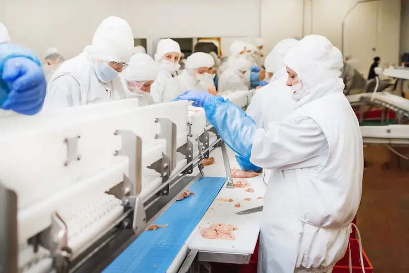 Essential Safety Wear For Food Industry Workers In Ireland - Ark Safety (3)